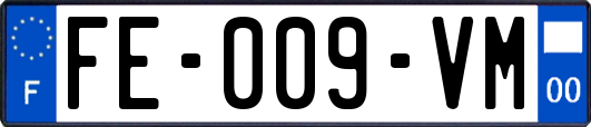 FE-009-VM