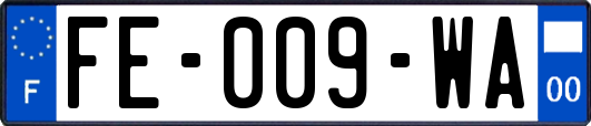 FE-009-WA