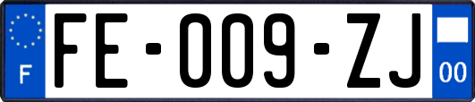 FE-009-ZJ