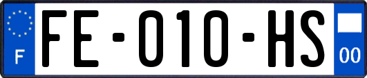 FE-010-HS