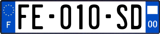 FE-010-SD