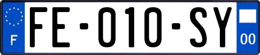 FE-010-SY