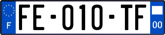 FE-010-TF