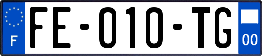 FE-010-TG