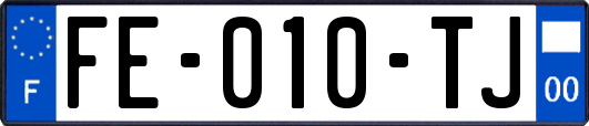 FE-010-TJ