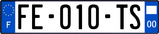 FE-010-TS
