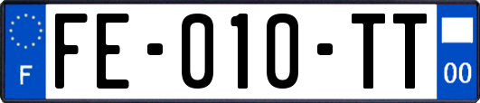 FE-010-TT
