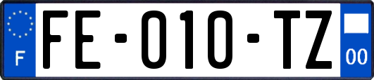 FE-010-TZ
