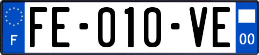 FE-010-VE