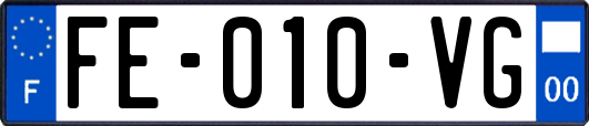 FE-010-VG