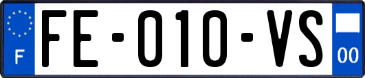 FE-010-VS