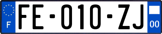 FE-010-ZJ