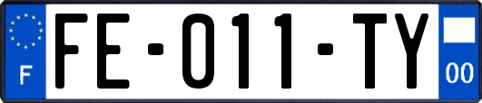 FE-011-TY