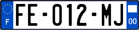 FE-012-MJ