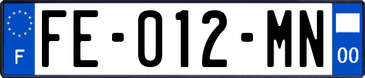 FE-012-MN