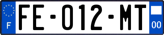 FE-012-MT