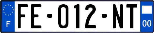 FE-012-NT