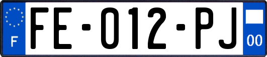 FE-012-PJ