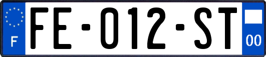 FE-012-ST