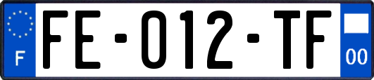 FE-012-TF