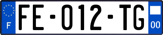 FE-012-TG