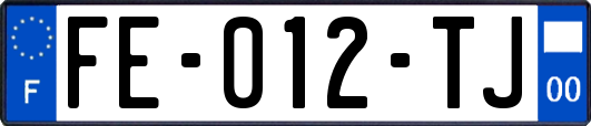 FE-012-TJ