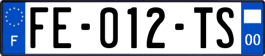 FE-012-TS