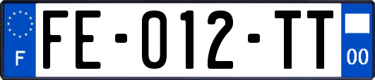 FE-012-TT
