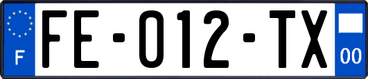 FE-012-TX