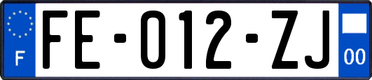 FE-012-ZJ