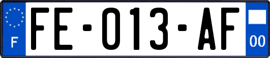 FE-013-AF