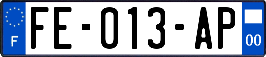 FE-013-AP