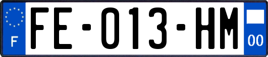 FE-013-HM