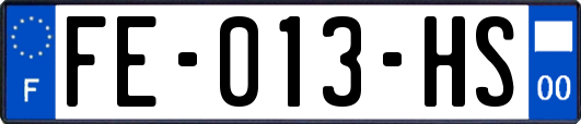 FE-013-HS