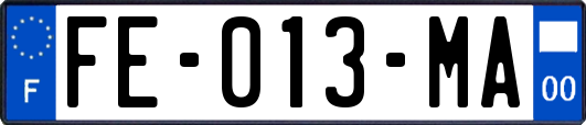 FE-013-MA