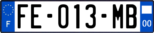 FE-013-MB