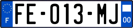 FE-013-MJ