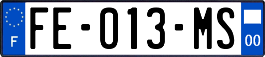 FE-013-MS