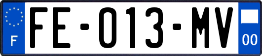 FE-013-MV