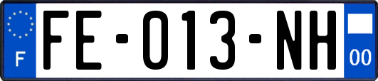 FE-013-NH