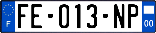 FE-013-NP