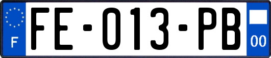FE-013-PB