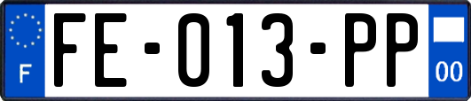 FE-013-PP