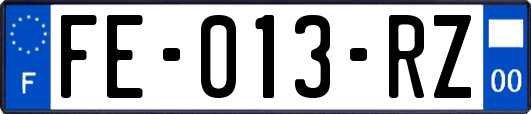 FE-013-RZ