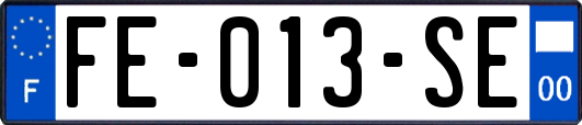FE-013-SE