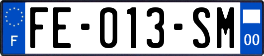 FE-013-SM
