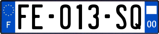 FE-013-SQ