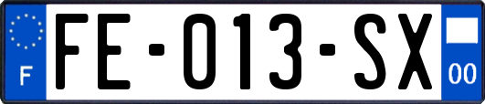 FE-013-SX