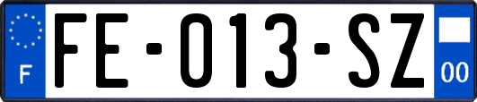 FE-013-SZ