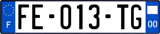 FE-013-TG